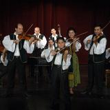 l'ensemble Tzigany RAJKO